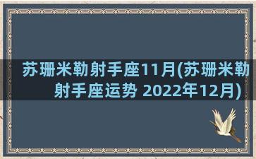 苏珊米勒射手座11月(苏珊米勒射手座运势 2022年12月)